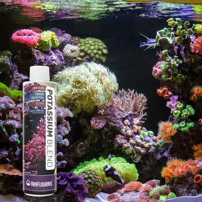 Show full view: Reeflowers Potassium Blend Fish Aquarium Water Conditioner, 8.5-fl oz bottle slide 7 of 7