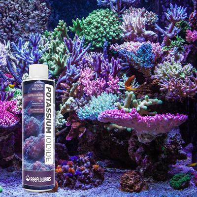 Show full view: Reeflowers Potassium Iodide Fish Aquarium Water Conditioner, 8.5-fl oz bottle slide 7 of 7