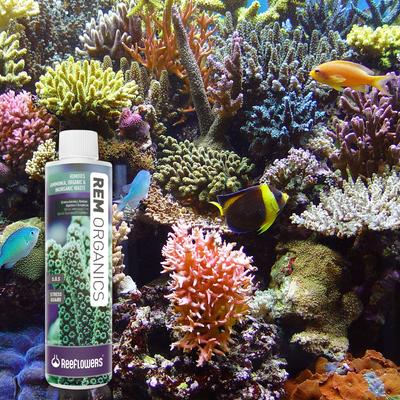 Show full view: Reeflowers RemOrganics Fish Aquarium Water Conditioner, 2.9-fl oz bottle slide 7 of 7