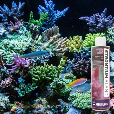 Show full view: Reeflowers Strontium Blend Fish Aquarium Water Conditioner, 17-fl oz bottle slide 7 of 7