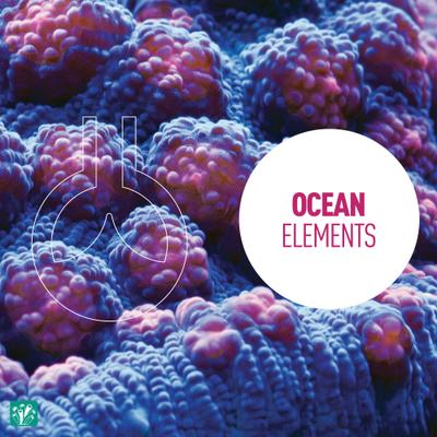 Show full view: Reeflowers Strontium Blend Fish Aquarium Water Conditioner, 8.5-fl oz bottle slide 5 of 7