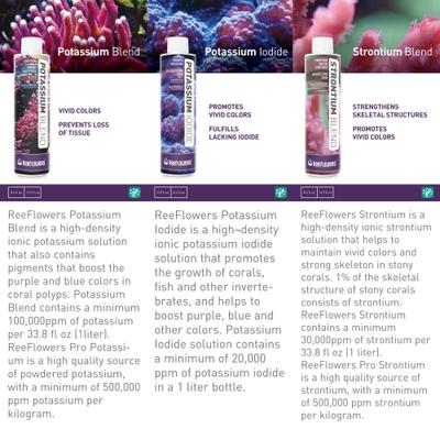 Show full view: Reeflowers Strontium Blend Fish Aquarium Water Conditioner, 8.5-fl oz bottle slide 6 of 7