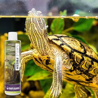 Show full view: Reeflowers Turtle Fresh RemAmmonia Fish Aquarium Water Conditioner, 2.9-fl oz bottle slide 7 of 7