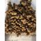 Show in main carousel: Regal Pet Foods Indoor Cat Recipe Dry Cat Food, 4-lb bag slide 5 of 5