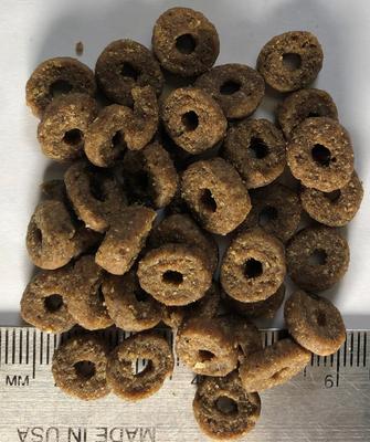 Show full view: Regal Pet Foods Kitten Recipe Dry Cat Food, 4-lb bag slide 5 of 7