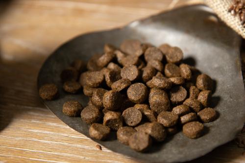 Show full view: Regal Pet Foods Ocean Recipe Salmon & Whitefish Meals Whole Grains Adult Dry Dog Food, 4-lb bag slide 5 of 6