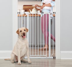 Regalo Pet Products Easy Step Extra Tall Walk-Through Dog Gate, White