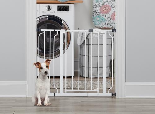Show full view: Regalo Pet Products Easy Step Walk-Through Dog Gate, 30-in slide 1 of 6
