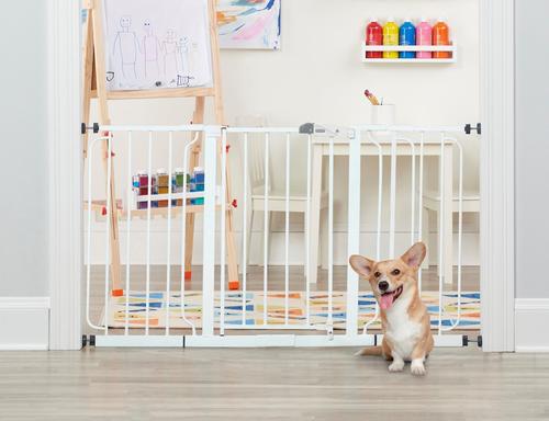 Show full view: Regalo Pet Products Extra Wide Walk-Through Dog Gate, 30-in slide 1 of 8