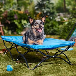 Coolaroo HeatShield Cooling Fabric Elevated Dog Bed