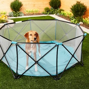 Regalo Pet Products My Play Portable Soft-sided Dog & Cat Playpen, 8-Panel