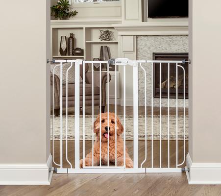 Show full view: Regalo Pet Products Widespan Extra Tall Walk-Through Dog Gate, 36-in slide 1 of 5