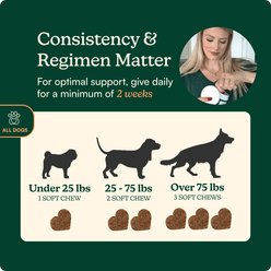 Reggie Anytime Calming Chew Peanut Butter & Pork Flavored Soft Chew Calming Supplement for Dogs, 60 count slide 2 of 7