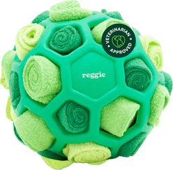 Reggie Forager Interactive Treat Dispensing Enrichment Ball for Dogs, Small/Medium, Green