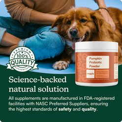 Reggie Pumpkin Probiotic Powder Pumpkin & Apple Flavored Digestive Aid Supplement for Dogs, 40 servings slide 2 of 8