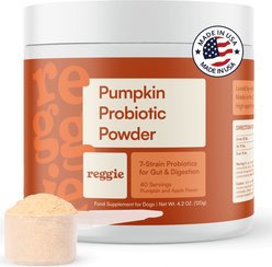 Reggie Pumpkin Probiotic Powder Pumpkin & Apple Flavored Digestive Aid Supplement for Dogs, 40 servings