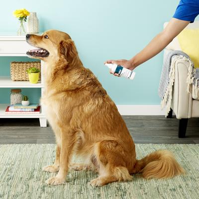 Show full view: Relief Spray for Itchy Skin for Dogs, Cats, & Horses 8-fl oz bottle slide 6 of 12