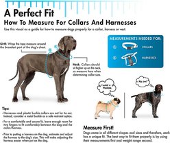 Remington Double-Ply Patterned Hound Reflective Dog Collar, Camo, 20 to 24-in neck, 1-in wide slide 2 of 2
