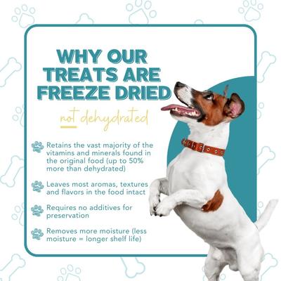 Show full view: Remy's Kitchen Just Bison Liver Freeze-Dried Dog & Cat Treats, 2.5-oz bag slide 8 of 11