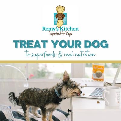 Show full view: Remy's Kitchen Superfood Snacks Pumpkin & Kale Flavor Grain-Free Freeze-Dried Dog Treats, 3.5-oz bag slide 4 of 11