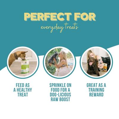 Show full view: Remy's Kitchen Sweet Potato + Turmeric Blend Superfood Snacks Freeze-Dried Dog Treats, 3.5-oz bag slide 9 of 10