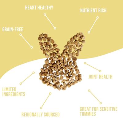 Show full view: Remy's Kitchen Sweet Potato + Turmeric Blend Superfood Snacks Freeze-Dried Dog Treats, 3.5-oz bag slide 7 of 10