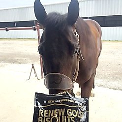 Renew Gold Bisquits Horse Treats, 2-lb bag slide 2 of 5