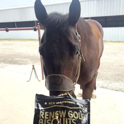 Show full view: Renew Gold Bisquits Horse Treats, 2-lb bag slide 4 of 5