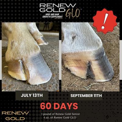 Show full view: Renew Gold Glo Hoof & Hair Growth Horse Supplement, 7.5-lb bag slide 4 of 5