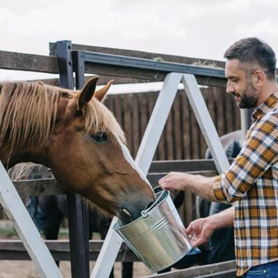 Show full view: Renew Gold Original Renew Gold Horse Supplement, 30-lb bag slide 5 of 6