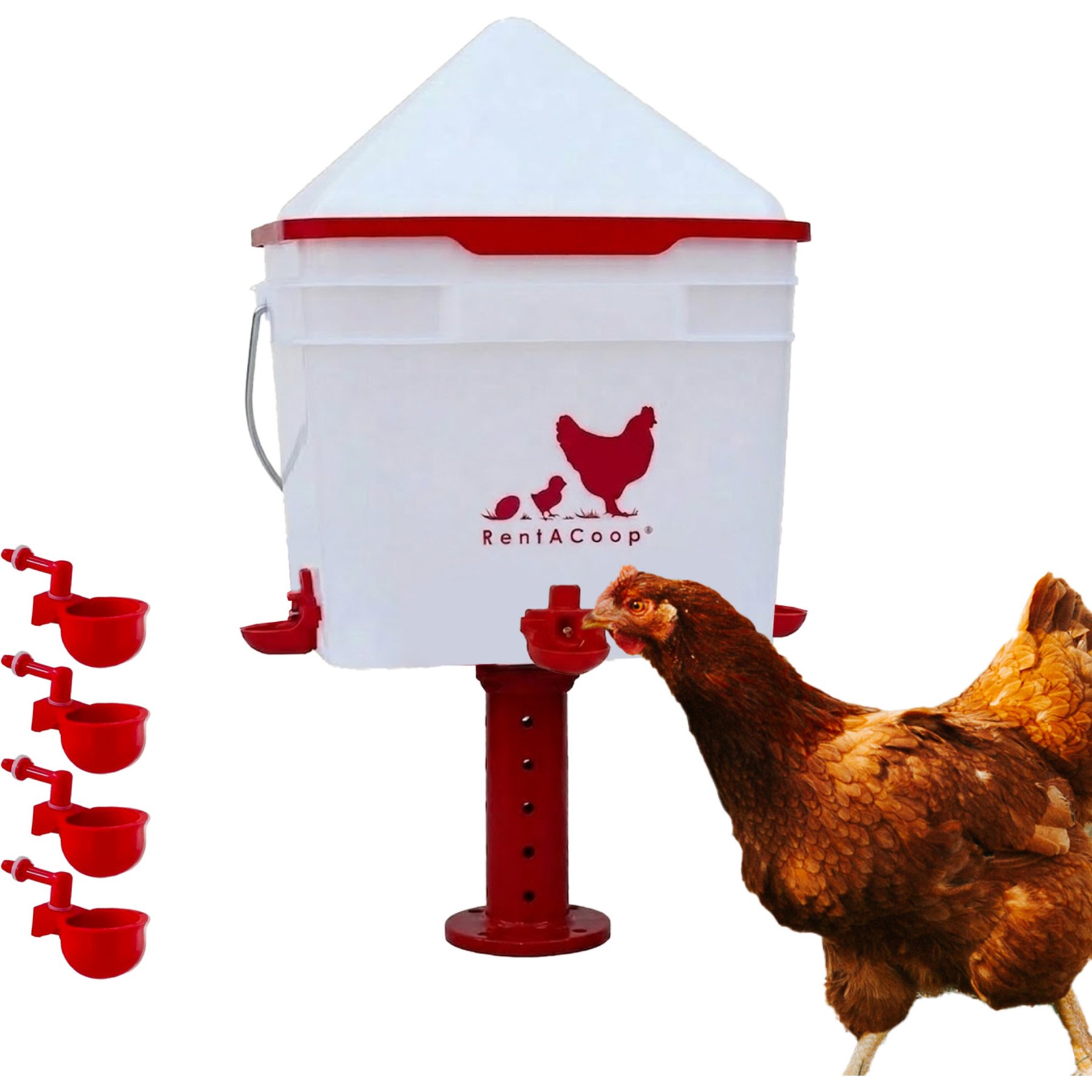 RentACoop Anti-Roost Center Placed Chicken Waterer, 2-gal