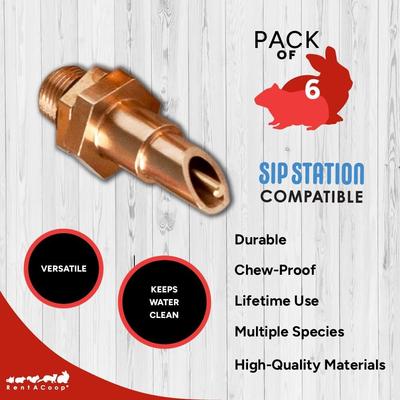 Show full view: RAC Paws by RentACoop Brass Nipple, 6 count slide 2 of 5