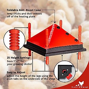 RentACoop Chick Brooder Heating Plate, 12" x 12", 22-W