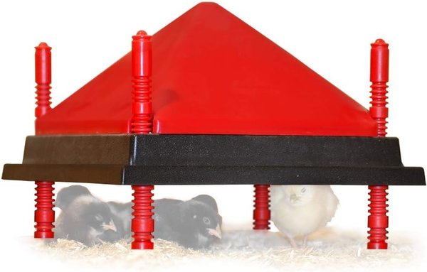 RentACoop Anti-Roost Cone for 5-gal buckets & 20-lb feeders