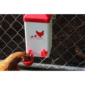 RentACoop Automatic Chicken Waterer, 1-gal