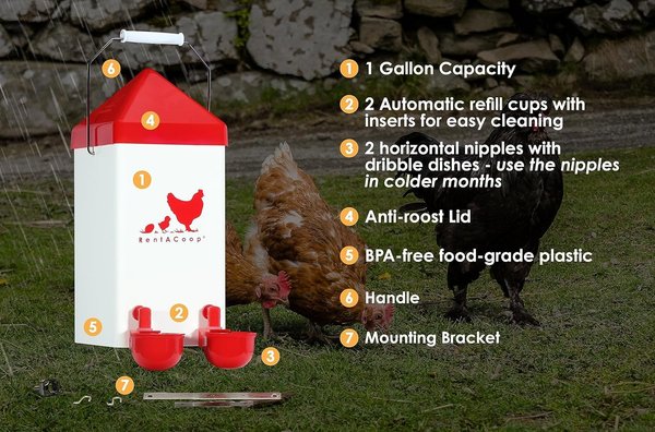 RentACoop Automatic Chick Waterer, 1-gal