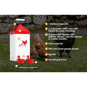 RentACoop Automatic Chicken Waterer, 1-gal