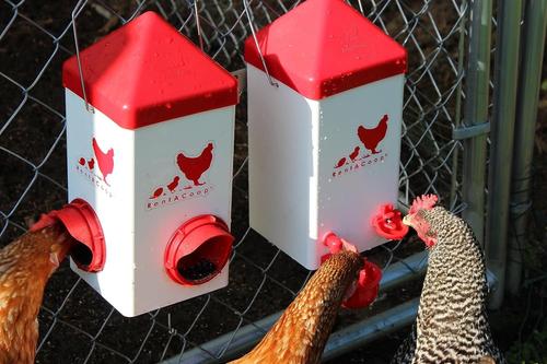 Show full view: RentACoop Chick2Chicken Feeder & Waterer Set, 5-lb & 1-gal slide 5 of 7