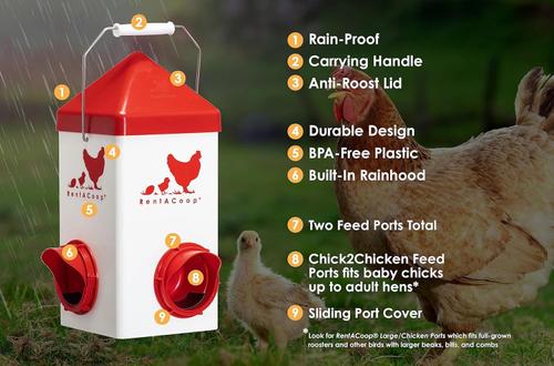 Show full view: RentACoop Chick2Chicken Feeder & Waterer Set, 5-lb & 1-gal slide 3 of 7