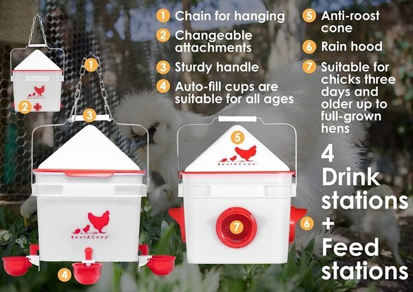 RentACoop Chick2Chicken Medium Port Chicken Feeder with Cover, 3-lb