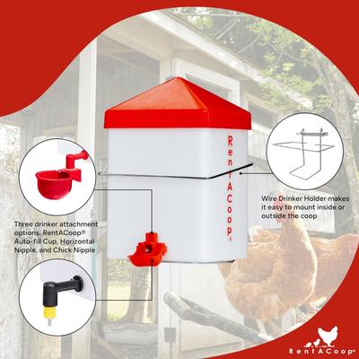 Show full view: RentACoop Chick2Chicken Poultry Feeder & Waterer Set, 2.5-lb, 64-oz slide 5 of 6