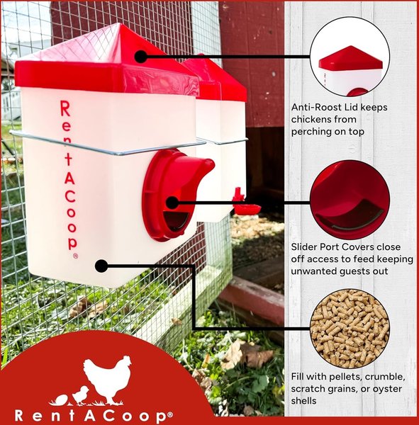 RentACoop Chick2Chicken Poultry Feeder & Waterer Set, 2.5-lb, 64-oz