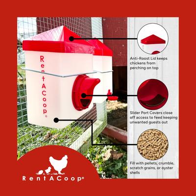 Show full view: RentACoop Chick2Chicken Poultry Feeder & Waterer Set, 2.5-lb, 64-oz slide 4 of 6
