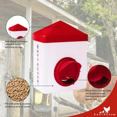 Show full view: RentACoop Chick2Chicken Poultry Feeder & Waterer Set, 2.5-lb, 64-oz slide 3 of 6