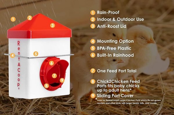 RentACoop Chick2Chicken BPA-Free Single-Port Feeder, 2.5-lb