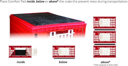 Show full view: RentACoop Stackable Poultry Carrier Crate, 4 count slide 6 of 7