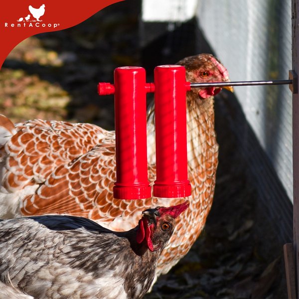 RentACoop Chicken Treat Dispenser Tubes