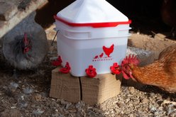 RentACoop Anti-Roost Corner Placed Chicken Waterer, 2-gal slide 2 of 6