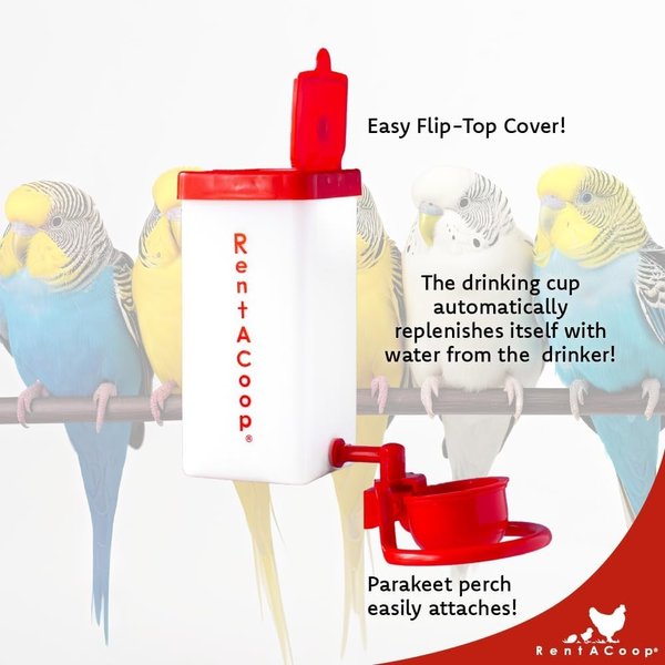 RentACoop Autofill Bird Drinker Cup with Perch, 32-oz