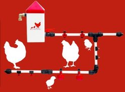 RentACoop S.N.A.P. Chicken Watering System Glueless Float Valve Kit slide 2 of 6